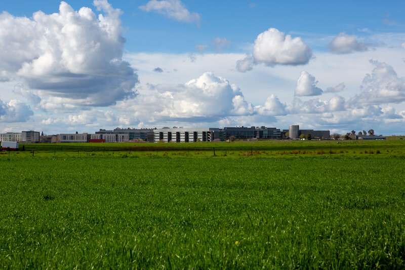 Cover Crops crop at ESF