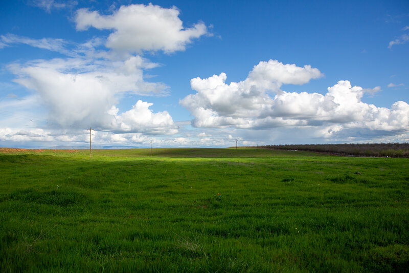 Beautiful vista of cover crops at ESF with mountains in the distance